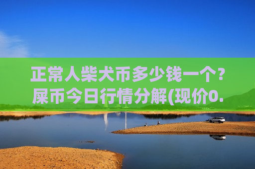 正常人柴犬币多少钱一个？屎币今日行情分解(现价0.00019863元)