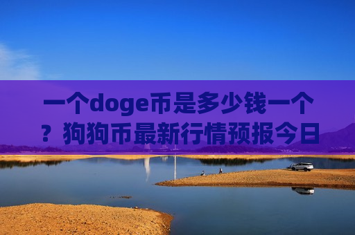 一个doge币是多少钱一个？狗狗币最新行情预报今日(现价2.8953元)