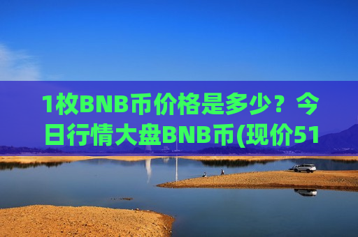 1枚BNB币价格是多少？今日行情大盘BNB币(现价5190元)