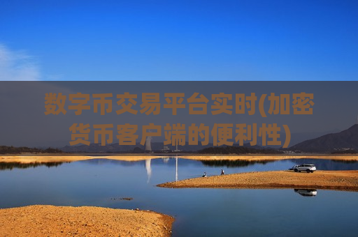数字币交易平台实时(加密货币客户端的便利性)