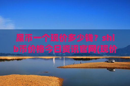 屎币一个现价多少钱？shib币价格今日资讯官网(现价0.00019856元)