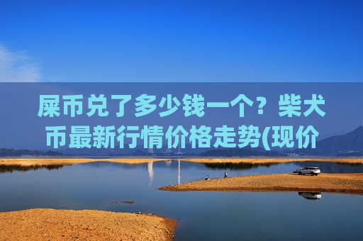 屎币兑了多少钱一个？柴犬币最新行情价格走势(现价0.00019914元)