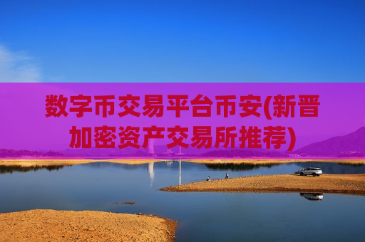 数字币交易平台币安(新晋加密资产交易所推荐)