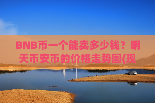 BNB币一个能卖多少钱？明天币安币的价格走势图(现价5168.89元)
