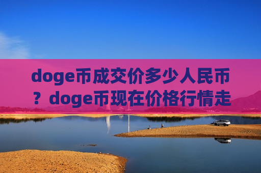 doge币成交价多少人民币？doge币现在价格行情走势(现价2.8828元)