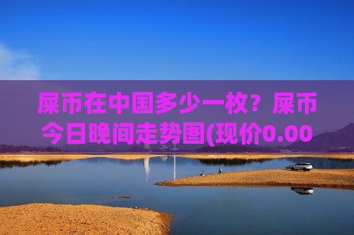 屎币在中国多少一枚？屎币今日晚间走势图(现价0.00019936元)