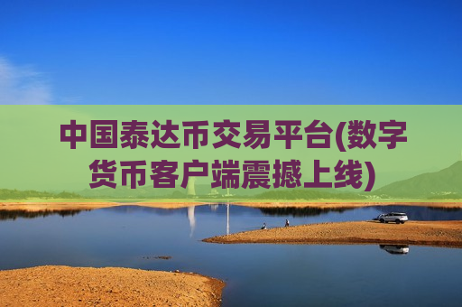 中国泰达币交易平台(数字货币客户端震撼上线)