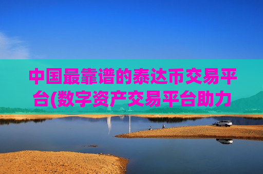中国最靠谱的泰达币交易平台(数字资产交易平台助力数字资产交易)