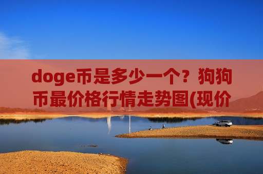 doge币是多少一个？狗狗币最价格行情走势图(现价2.8913元)