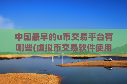 中国最早的u币交易平台有哪些(虚拟币交易软件使用心得)