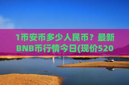 1币安币多少人民币？最新BNB币行情今日(现价5206.45元)