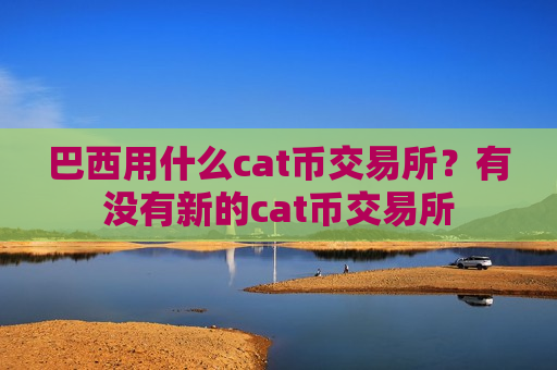 巴西用什么cat币交易所？有没有新的cat币交易所