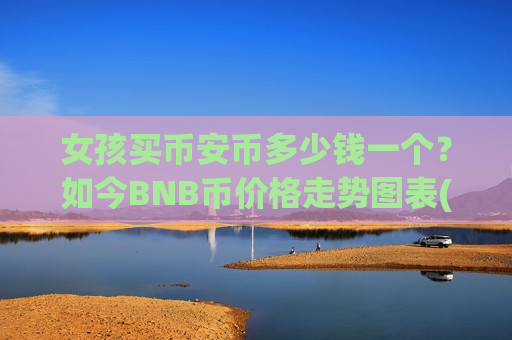 女孩买币安币多少钱一个？如今BNB币价格走势图表(现价5198.53元)