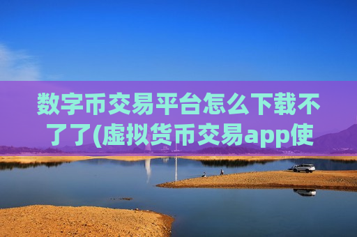 数字币交易平台怎么下载不了了(虚拟货币交易app使用)