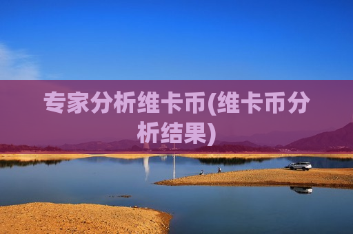 专家分析维卡币(维卡币分析结果)