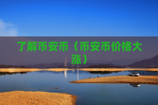 了解币安币（币安币价格大涨）
