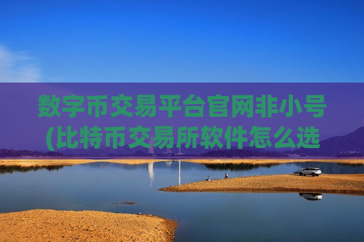 数字币交易平台官网非小号(比特币交易所软件怎么选)