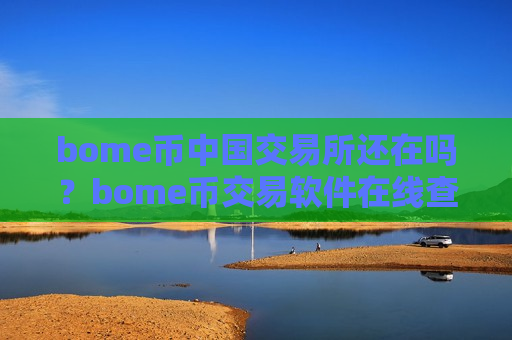 bome币中国交易所还在吗？bome币交易软件在线查看