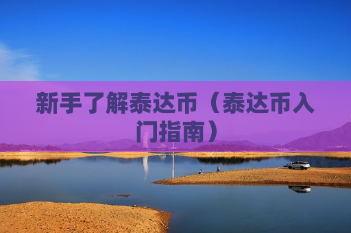 新手了解泰达币（泰达币入门指南）-第1张图片-币圈网