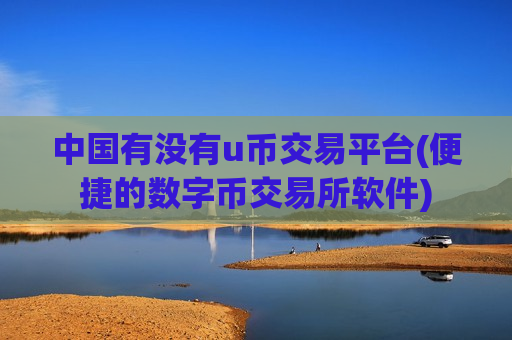 中国有没有u币交易平台(便捷的数字币交易所软件)