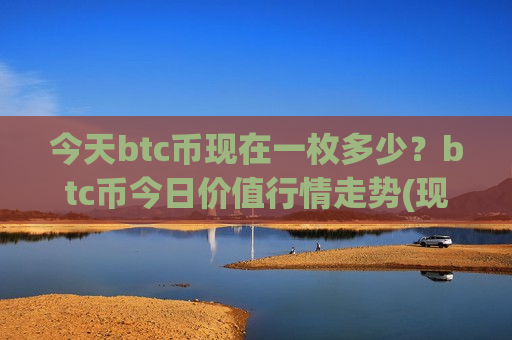今天btc币现在一枚多少？btc币今日价值行情走势(现价740277.57元)