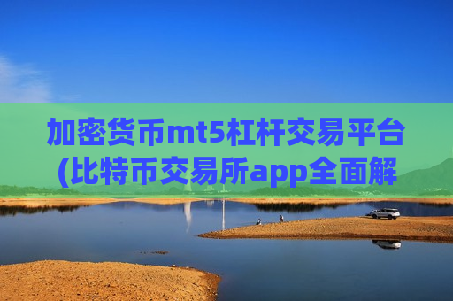 加密货币mt5杠杆交易平台(比特币交易所app全面解析)