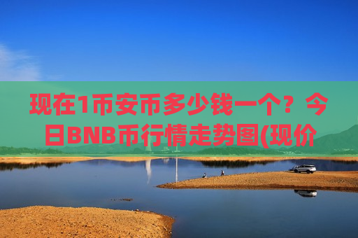 现在1币安币多少钱一个？今日BNB币行情走势图(现价5195.83元)