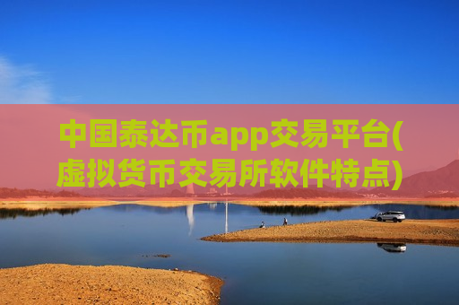 中国泰达币app交易平台(虚拟货币交易所软件特点)