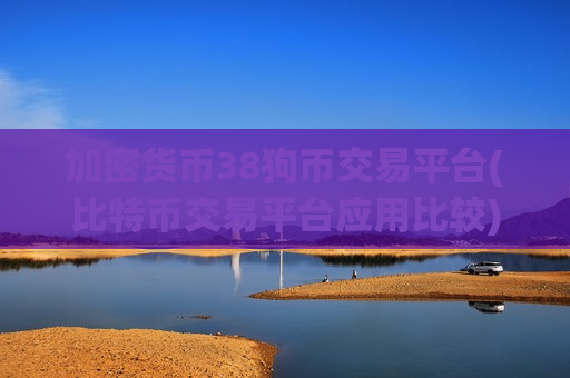 加密货币38狗币交易平台(比特币交易平台应用比较)
