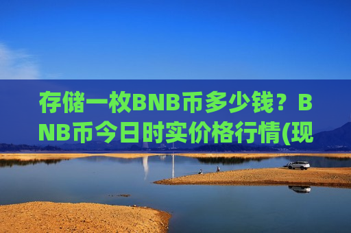存储一枚BNB币多少钱？BNB币今日时实价格行情(现价5195.81元)
