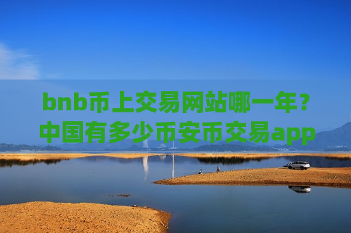 bnb币上交易网站哪一年？中国有多少币安币交易app