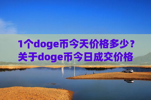 1个doge币今天价格多少？关于doge币今日成交价格(现价2.8904元)