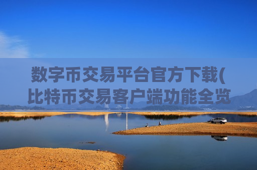 数字币交易平台官方下载(比特币交易客户端功能全览)
