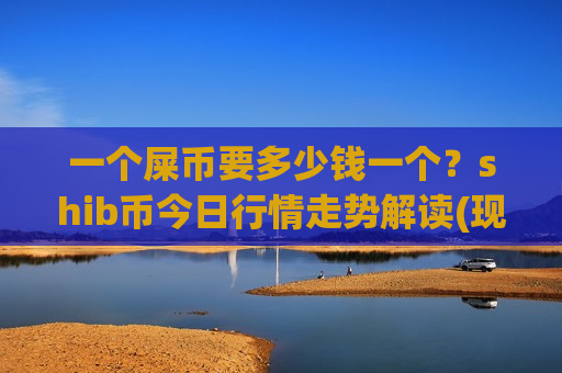 一个屎币要多少钱一个？shib币今日行情走势解读(现价0.00019877元)
