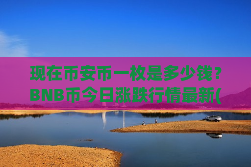 现在币安币一枚是多少钱？BNB币今日涨跌行情最新(现价5176.34元)