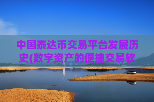 中国泰达币交易平台发展历史(数字资产的便捷交易软件推荐)