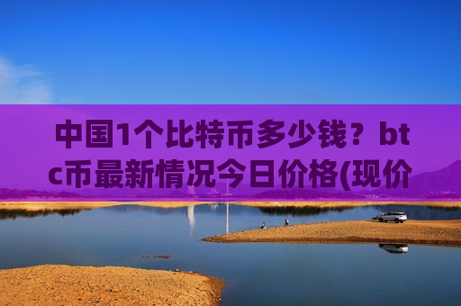 中国1个比特币多少钱？btc币最新情况今日价格(现价745218.85元)