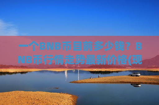 一个BNB币目前多少钱？BNB币行情走势最新价格(现价5118.88元)