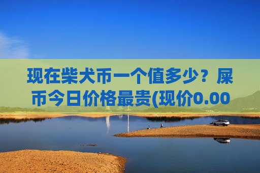 现在柴犬币一个值多少？屎币今日价格最贵(现价0.00019586元)
