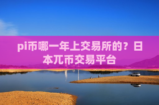 pi币哪一年上交易所的？日本兀币交易平台