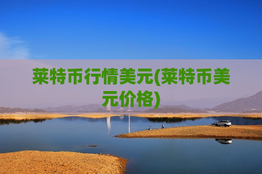莱特币行情美元(莱特币美元价格)