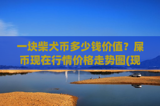 一块柴犬币多少钱价值？屎币现在行情价格走势图(现价0.00019994元)