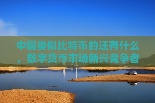 中国类似比特币的还有什么,数字货币市场新兴竞争者-第1张图片-币圈网 中国类似比特币的还有什么,数字货币市场新兴竞争者-第1张图片-币圈网