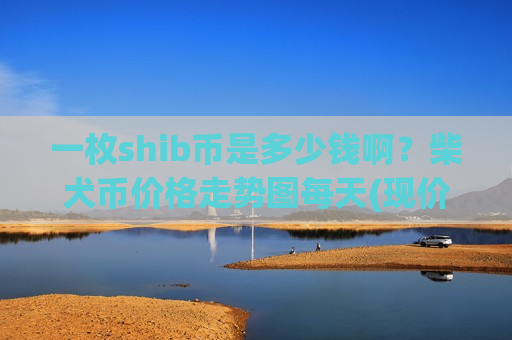 一枚shib币是多少钱啊？柴犬币价格走势图每天(现价0.00019645元)