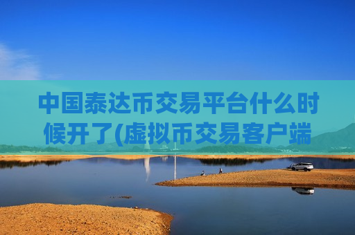 中国泰达币交易平台什么时候开了(虚拟币交易客户端的新尝试)