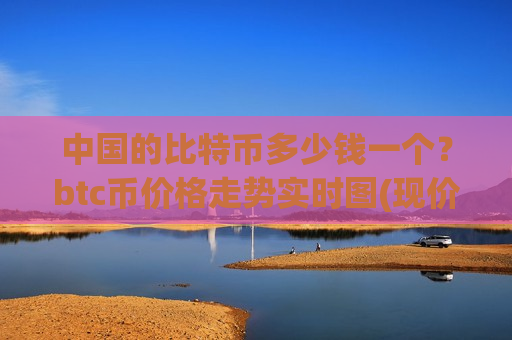 中国的比特币多少钱一个？btc币价格走势实时图(现价739873.55元)