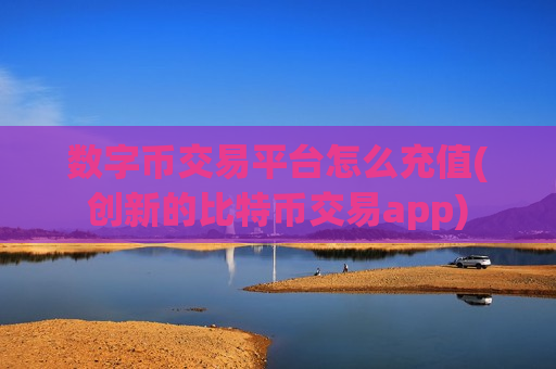 数字币交易平台怎么充值(创新的比特币交易app)