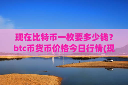 现在比特币一枚要多少钱？btc币货币价格今日行情(现价743659.93元)