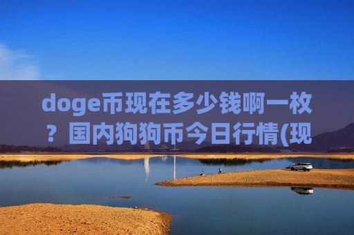 doge币现在多少钱啊一枚？国内狗狗币今日行情(现价2.8759元)