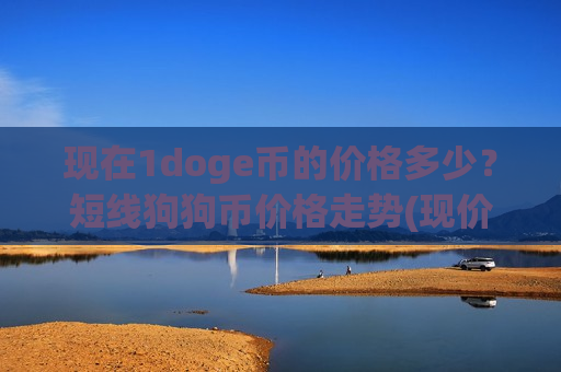 现在1doge币的价格多少？短线狗狗币价格走势(现价2.9029元)